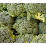 Broccoli  Waltham 29 Seeds - Brassica Oleracea