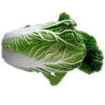 Cabbage Chinese Michihili Seeds - Brassica Rapa