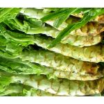 Lettuce Looseleaf Celtuce Seeds - Lactuca Sativa