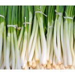 Onion Bunching He Shi Ko Seeds - Allium Cepa