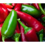 Pepper Hot Early Jalapeno Seeds - Capsicum Annuum