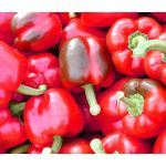 Pepper Pimento Seeds - Capsicum Annuum