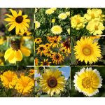 Wildflower Mix Yellow Seeds