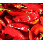 Pepper Sweet Red Marconi Seeds - Capsicum Annuum