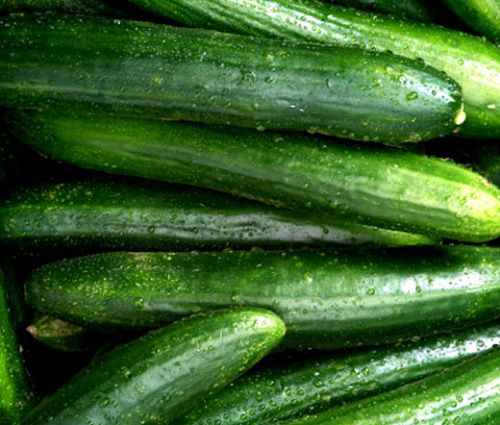 Cucumber Straight Eight Seeds - Cucumis Sativus
