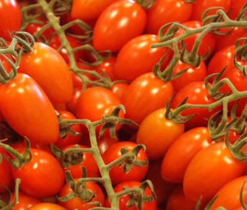 Tomato Roma Plum VFN Lycopersicon Esculentum Seeds
