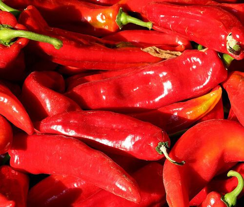 Pepper Sweet Red Marconi Seeds - Capsicum Annuum