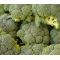 Broccoli  Waltham 29 Seeds - Brassica Oleracea