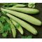 Cucumber Burpless Armenian Yard Long Seeds - Cucumis Sativus