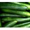 Cucumber Straight Eight Seeds - Cucumis Sativus
